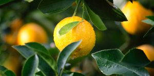 gallery_img_04
